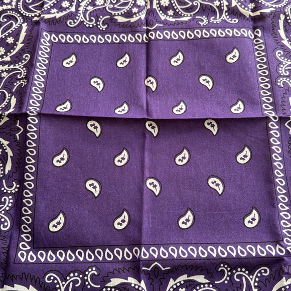 Brand New Set of Two Cotton Bandanas - Picture 6 of 7